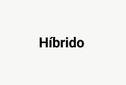 Híbrido